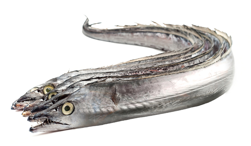 凍品海鮮大圖22帶魚.jpg