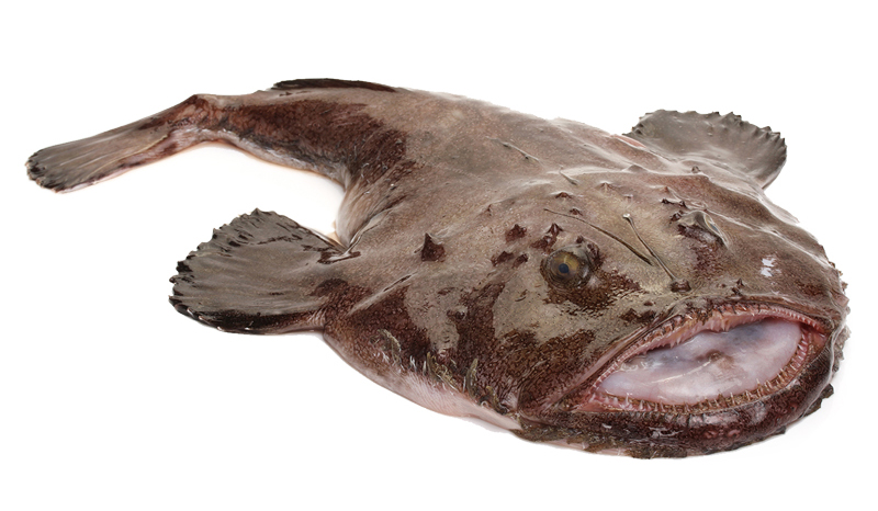 凍品海鮮大圖20安康魚(yú).jpg